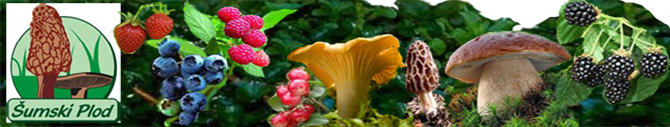 Šumski plod